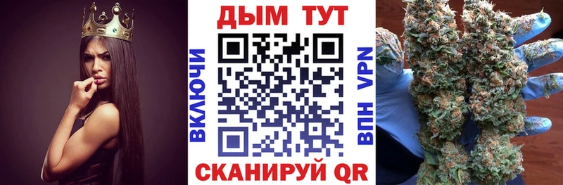 Марихуана план  где купить   Новотроицк 